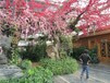 大田县假山丶假树丶塑石假山丶仿木栏杆价格查询