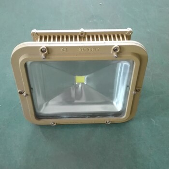 新款方形40W-70W防爆免維護LED燈