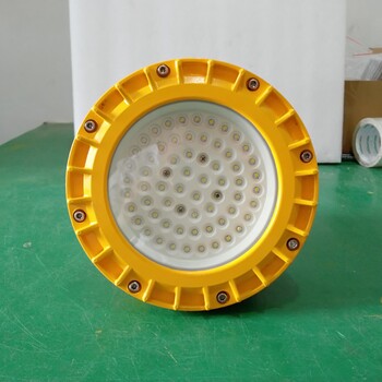 LED免維護(hù)防爆燈大功率防爆燈LED泛光燈