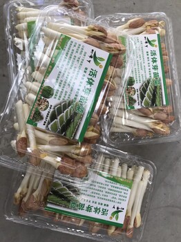 芽苗菜包装盒省时方便打包盒花生芽包装盒