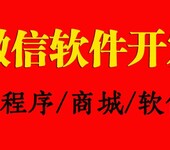 常州微信商城开发-王威，专家顾问服务机构