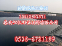 泰安江帆供应泥鳅养殖土工膜养殖池塘防渗膜0.5mm抗暴晒土工膜图片4