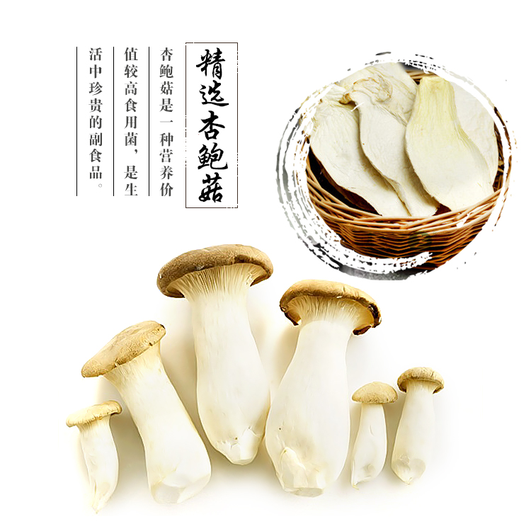 点点乐商城杏鲍菇杏鲍菇的做法杏鲍菇的营养价值一个投资理财的好帮手