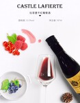 点点乐商城拉菲堡干红葡萄酒2013年13.5度精巧身材开瓶即可喝完