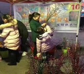 跑江湖地摊产品韩国七彩柳摆设买20支花送1个塑料花瓶10元模式