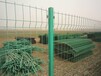 小区安全防护网绿色浸塑铁丝网生态园林防护网菱形钢板网甘肃定西厂子哪家好点