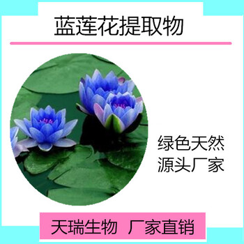 蓝睡莲提取物蓝莲花速溶粉