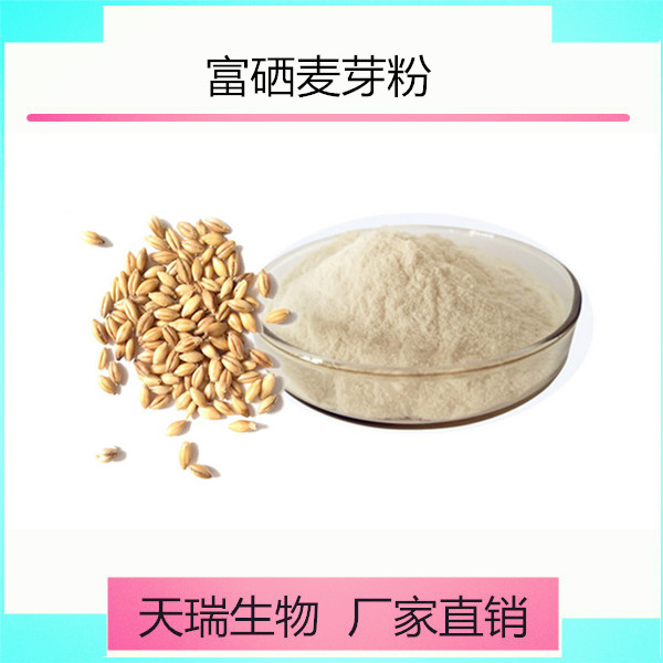 纯麦芽粉