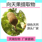 向天果提取物向天果生粉厂家