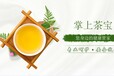 同记茶业是一家专注做古树有机茶的公司