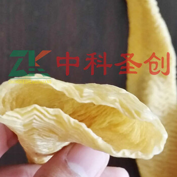 江苏镇江大型牛排豆皮机价格多功能牛排豆皮机机械中科圣创牛排豆皮机生产线