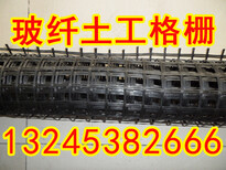 惠州玻纤土工格栅图片2