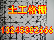 惠州玻纤土工格栅图片1