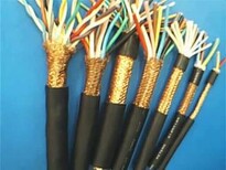 ZA-DJYVPR软芯产品计算机电缆图片2
