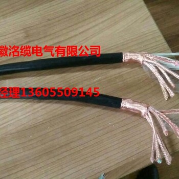 ZN-DJVPVP计算机电缆厂家（洺缆报价）