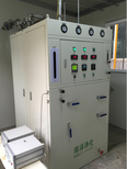 瑞泽氩气纯化设备YA10-60大流量纯化装置图片1