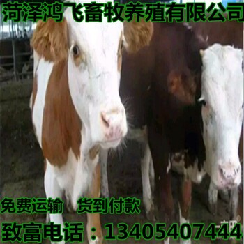 中国养牛补贴政策2017养牛场牛粪处理
