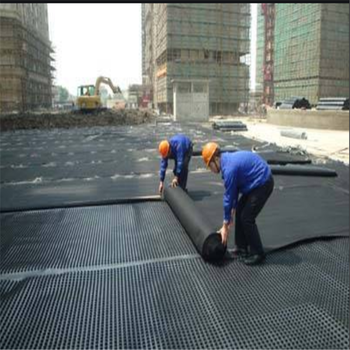衢江区塑料排水板凹凸型A屋顶花园排水板厂家