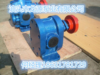 泊头市龙源泵业有限公司生产2CY系列齿轮泵图片0