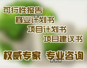 肇庆代您写可行性研究报告总算找到了