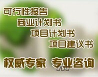 泰安代写怎样写可行性报告每日报价服务到家图片1