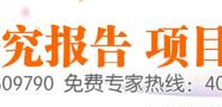 我司在揭阳本地代写资金实施方案屹立市场很多年图片5