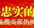 连云港代您写商业计划书新春活动图片