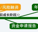 服务热线要被打爆了台州融资计划书代写