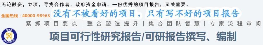 玉林代写项目可行性报告金狗报价