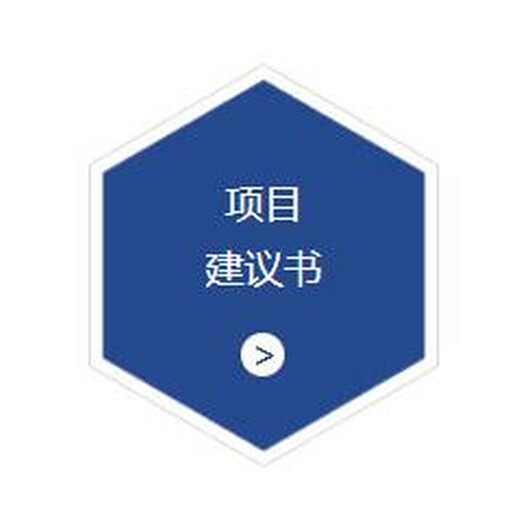 河源及全国代写项目可行性报告没有做不好的事