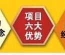 山南代写代做路演PPT服务全国不限区域图片