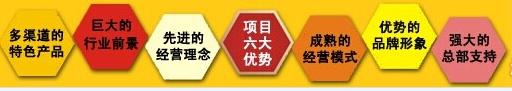 白山代写酒店可行性报告范文经销商真的不要再错过了