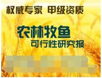 丹东代写项目稳定回报论证报告等待成功来临图片0