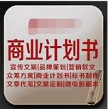 淮南代写代做路演PPT负责到底的服务图片4