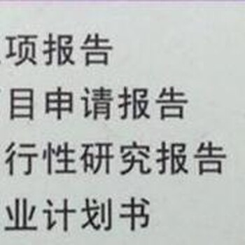 鹤岗代写项目稳定回报论证报告忠诚实干担当