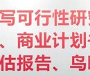 吉安代写项目稳定回报论证报告请您快速行动图片