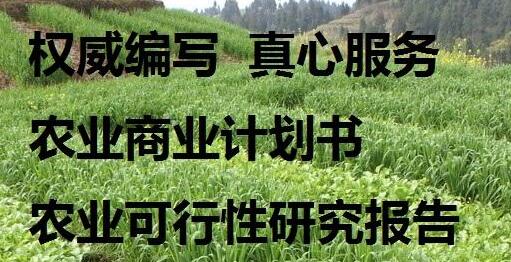 成都代写可行性报告一起来努力