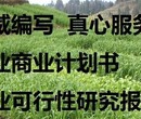 益阳代写代做路演PPT赢在学习图片