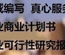 石家庄代写融资计划书往更好的方向整图片