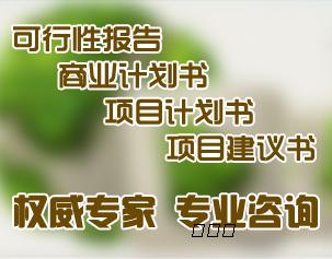 许昌代写项目稳定回报论证报告提供DIY服务