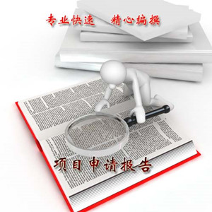 漳州代写项目稳定回报论证报告来分享成功