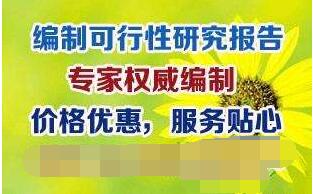 江门代写项目稳定回报论证报告撰写团队20年守护