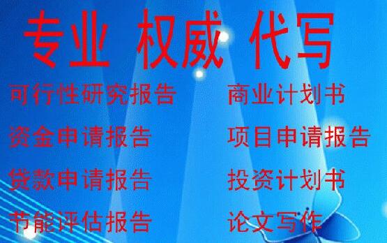 上饶代写项目风险规避及资金管理实施细则解决客户大的需求