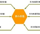 阿里代写项目投资风险专项报告门市价图片