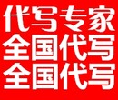 嘉兴项目偿债能力分析报告成功离不开专业图片