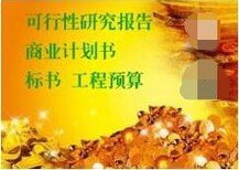 桂林代写可行性报告认真负责诚信共赢图片1