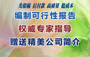 安庆代写突发环境事件应急预案加工