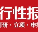 宜昌代写风险评定及偿债能力分析报告零售价格图片