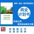 荆州代写债务履约能力评级报告2020年范本