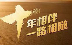 大同代写创业计划书月度评述图片5